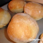 cibatta-rolls