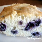 blueberry-snack-cake