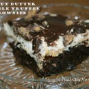 peanut-butter-crumble-truffle-brownies