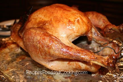 turkey recipes and tips