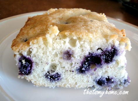 Blueberry Snack Cake