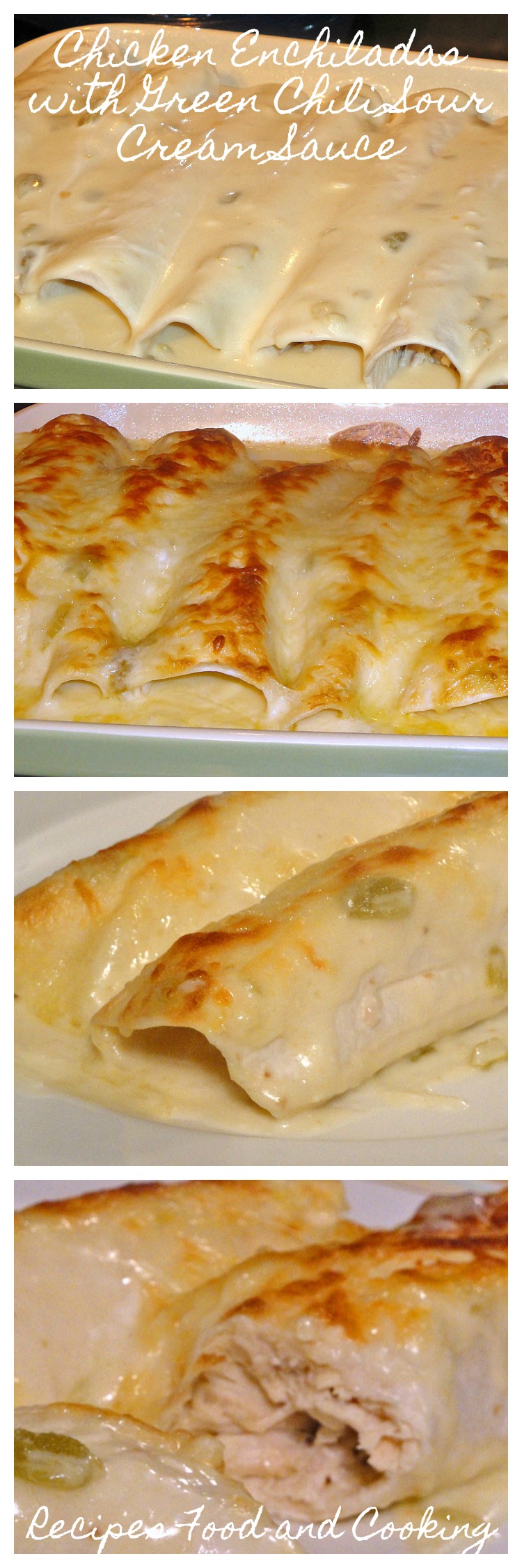 Chicken Enchiladas with Green Chili Sour Cream Sauce