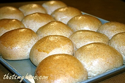 Whole Wheat Dinner Rolls