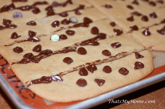 Chocolate Chip Cookie Sticks