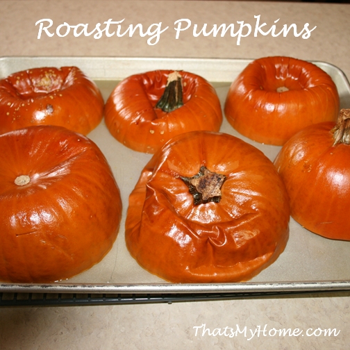 roasting pumpkins