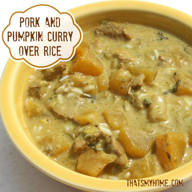 pork and pumpkin curry from recipesfoodandcooking.com