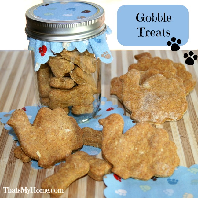 pumpkin dog biscuits