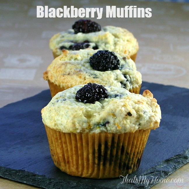 Blackberry Buttermilk Muffins from Recipes, Food and Cooking