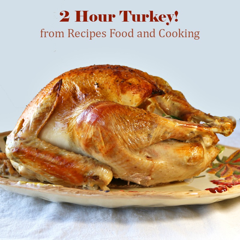 Gobbling Turkey Timer and Thermometer