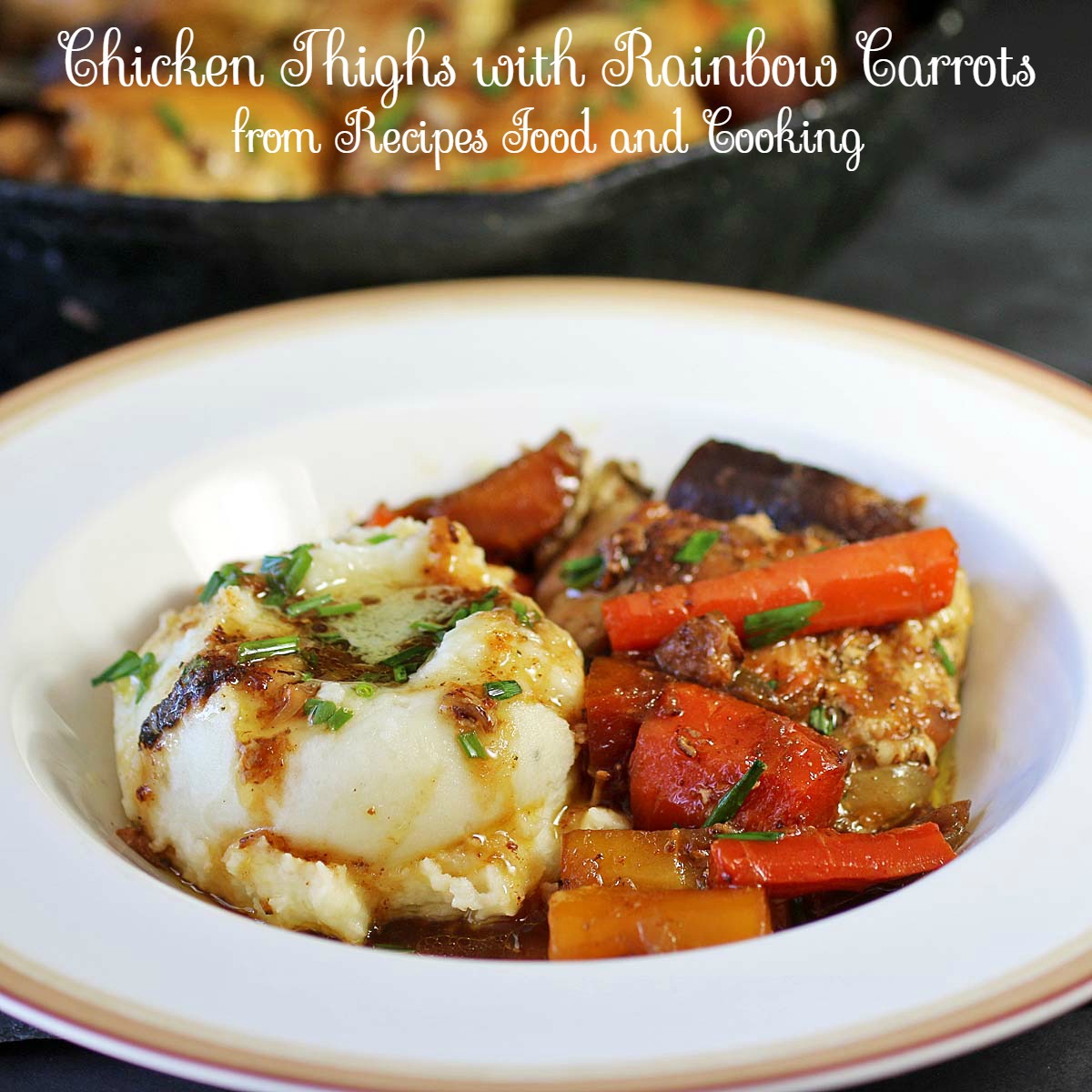 Pressure Cooking Chicken For Dog Food Recipes Pressure Cooking Chicken For Dog Food Recipes