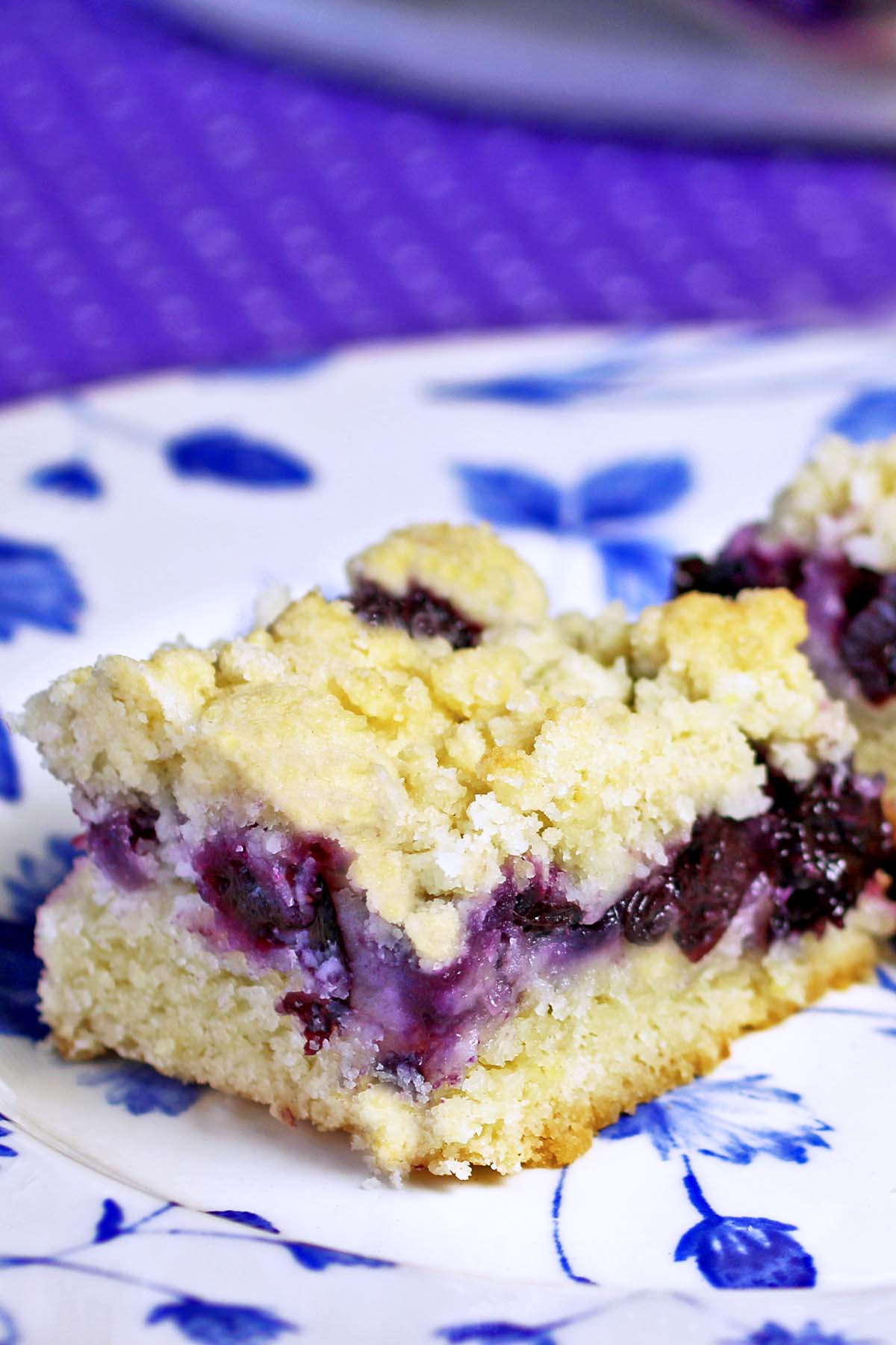 Blueberry Cake Crumb Bars - Recipes Food and Cooking