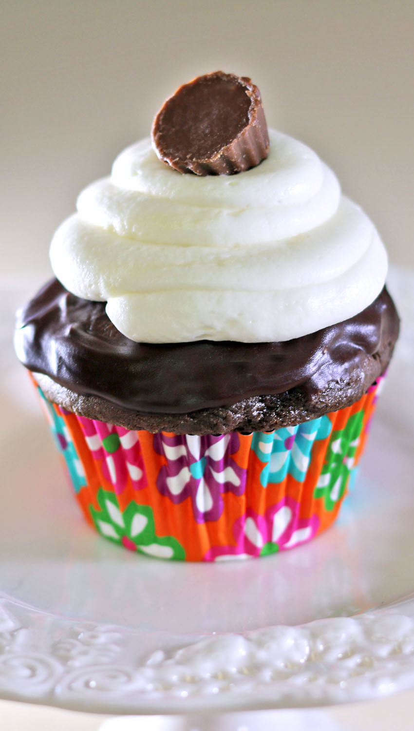 Chocolate Cupcakes with Ganache and Cream Cheese Frosting - Recipes ...