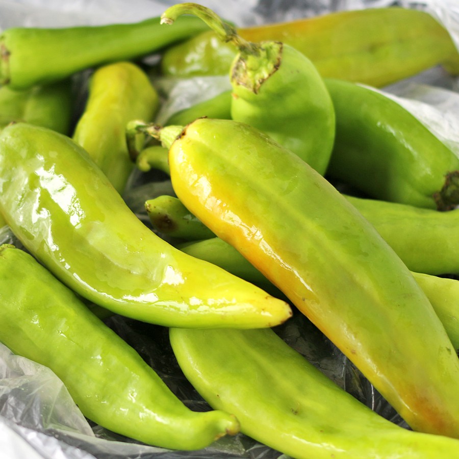 Hatch Chiles Pork Stew