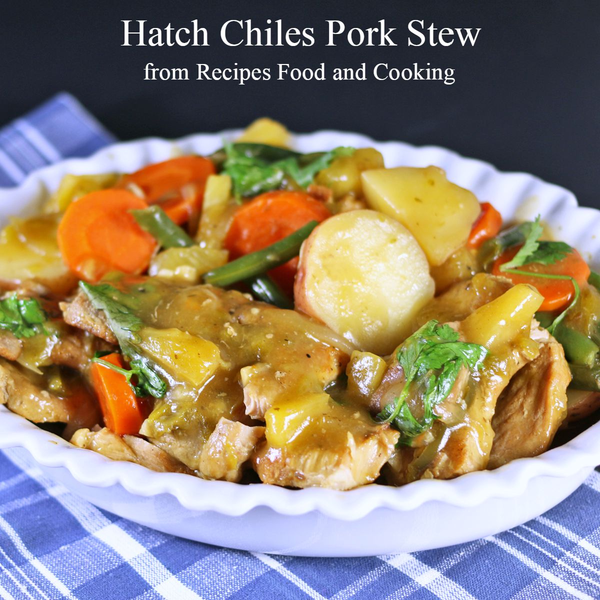 Hatch Chiles Pork Stew