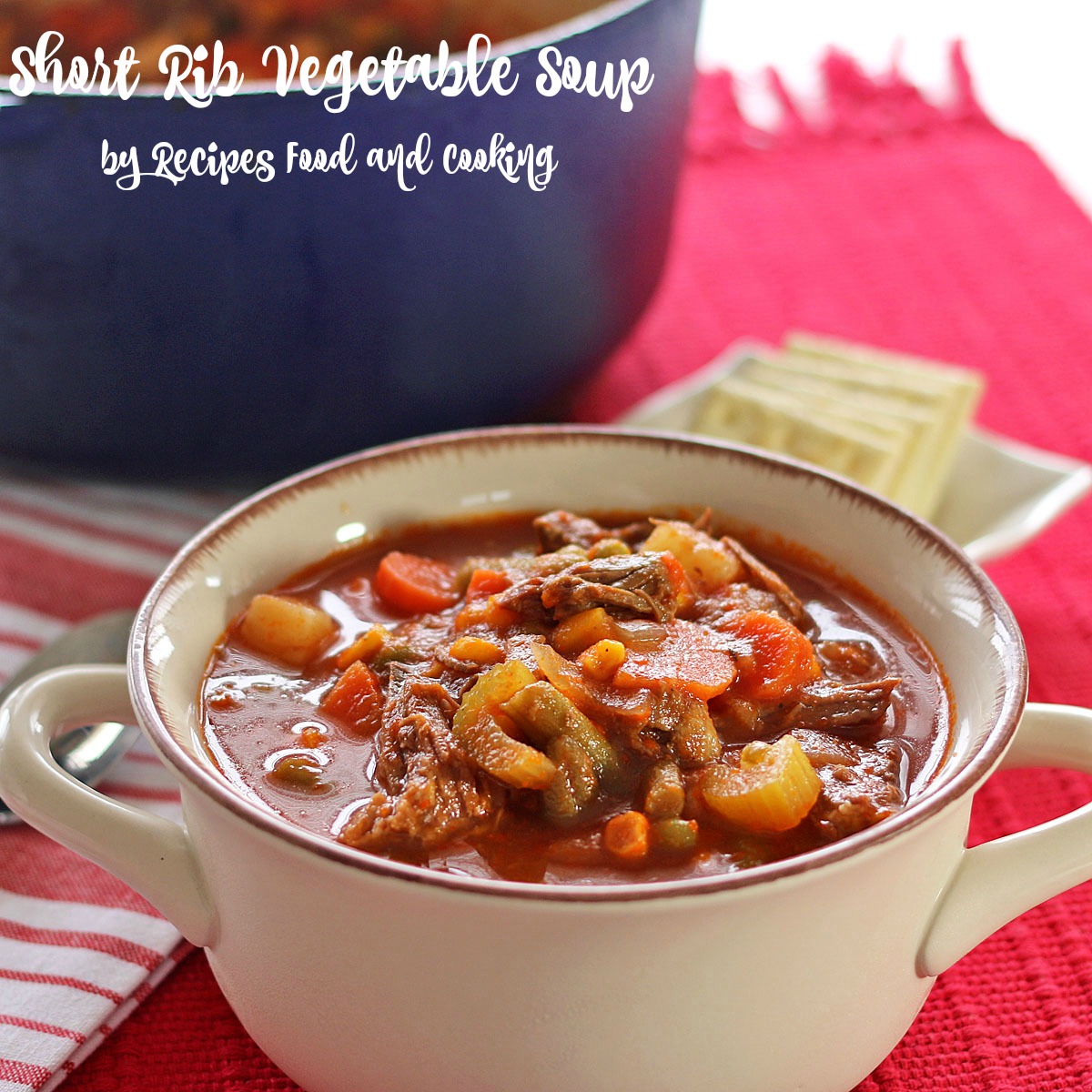 Short Rib Vegetable Soup