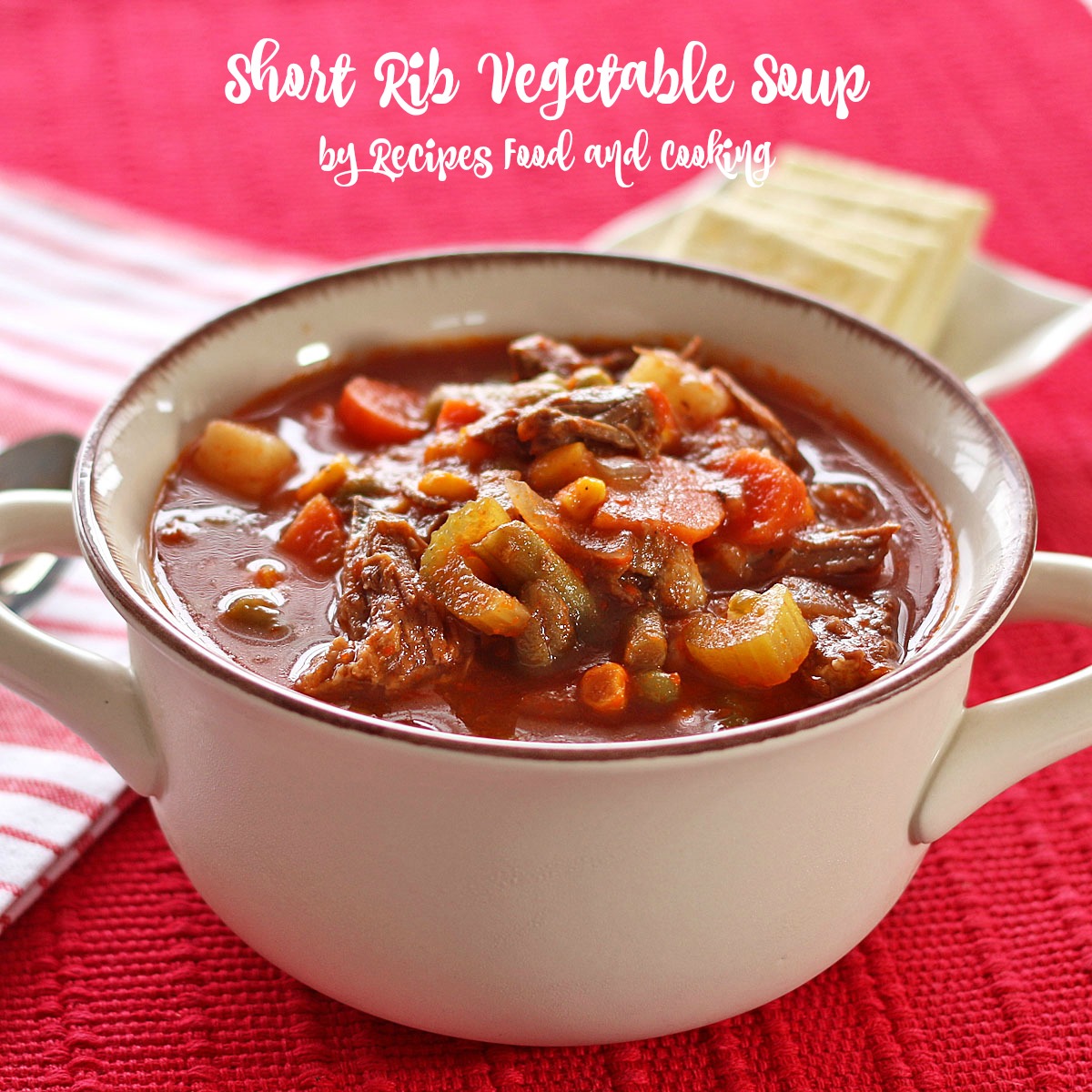 Short Rib Vegetable Soup