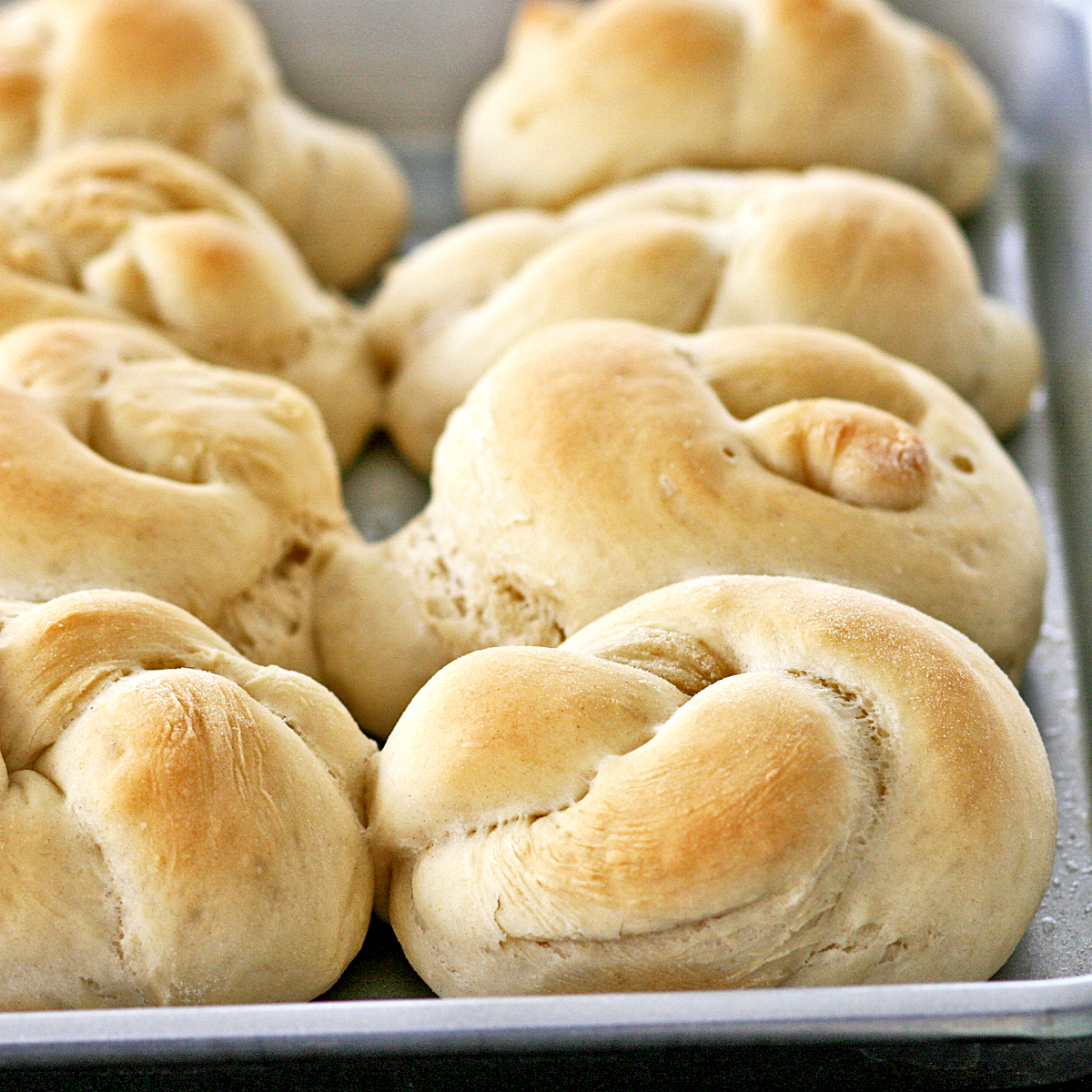 French Bread Rolls