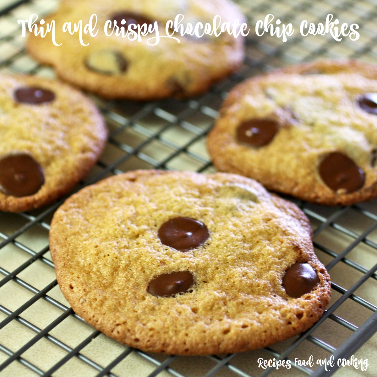 Thin and Crispy Chocolate Chip Cookies