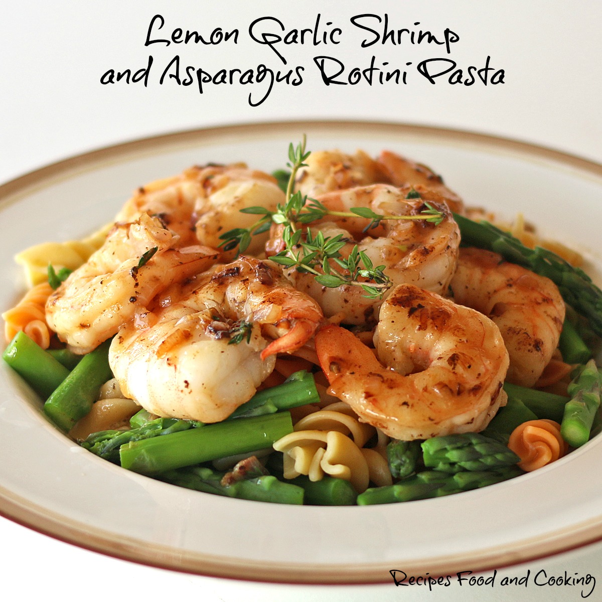 Lemon Garlic Shrimp and Asparagus Rotini Pasta