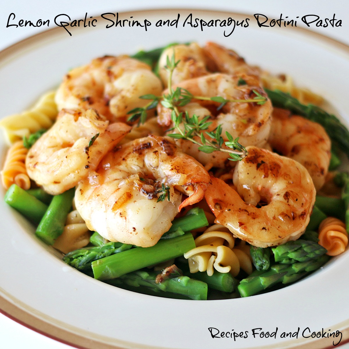 Lemon Garlic Shrimp and Asparagus Rotini Pasta