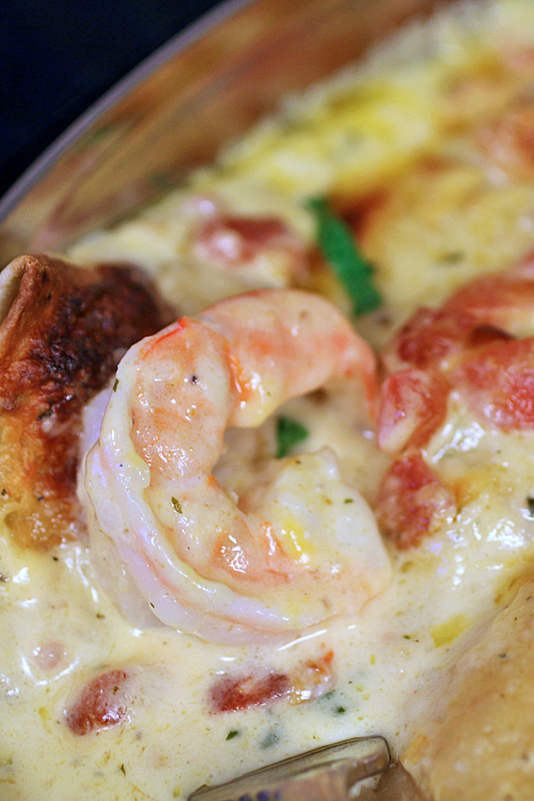 Easy Shrimp Enchiladas