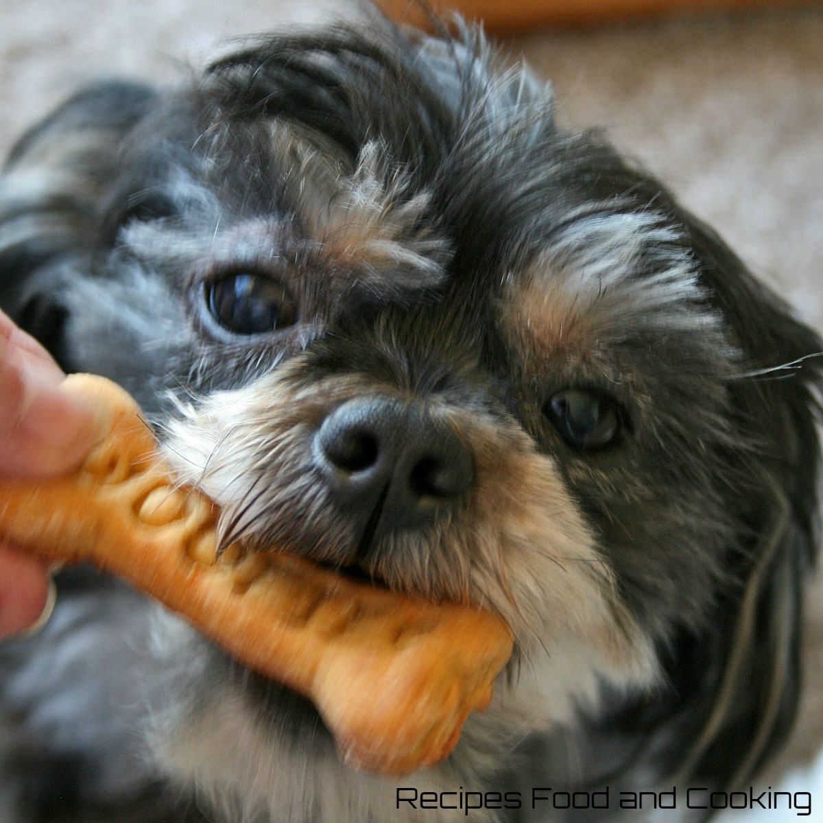 Peanut Butter and Banana Dog Treats