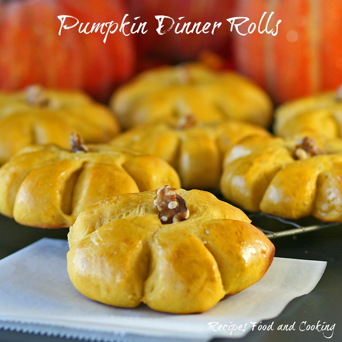 Pumpkin Dinner Rolls