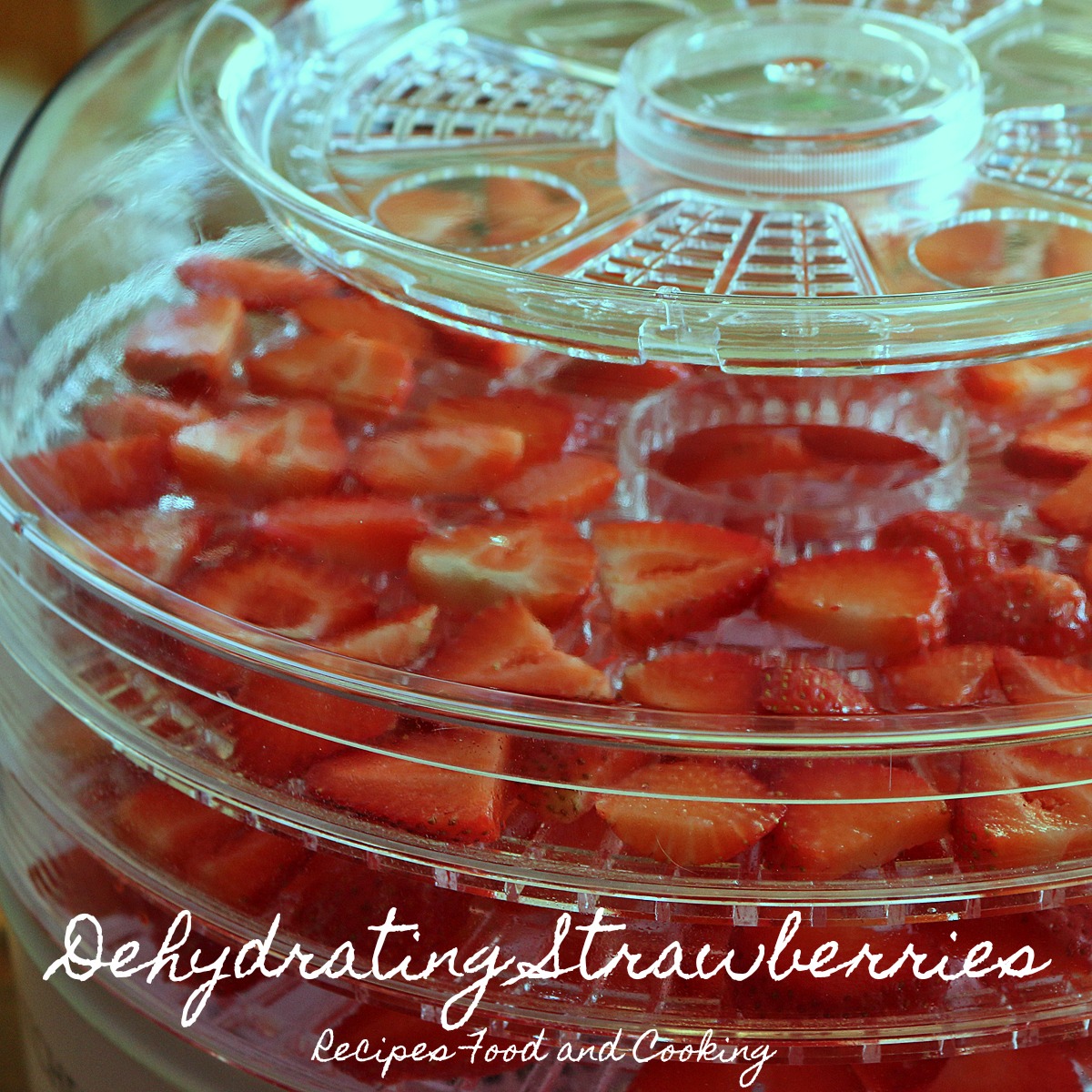 How To Dehydrate Strawberries