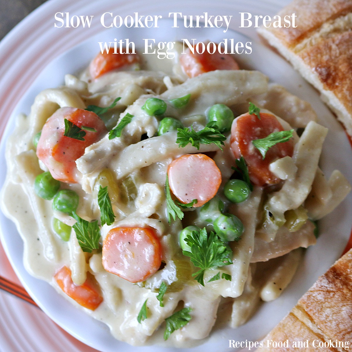 Slow Cooker Turkey Breast with Egg Noodles from Recipes Food and Cooking