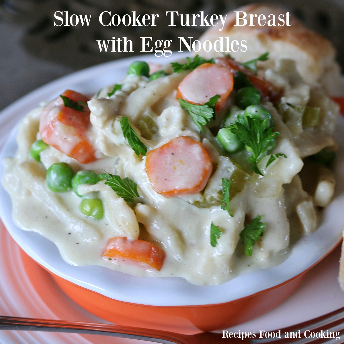 Slow Cooker Turkey Breast with Egg Noodles