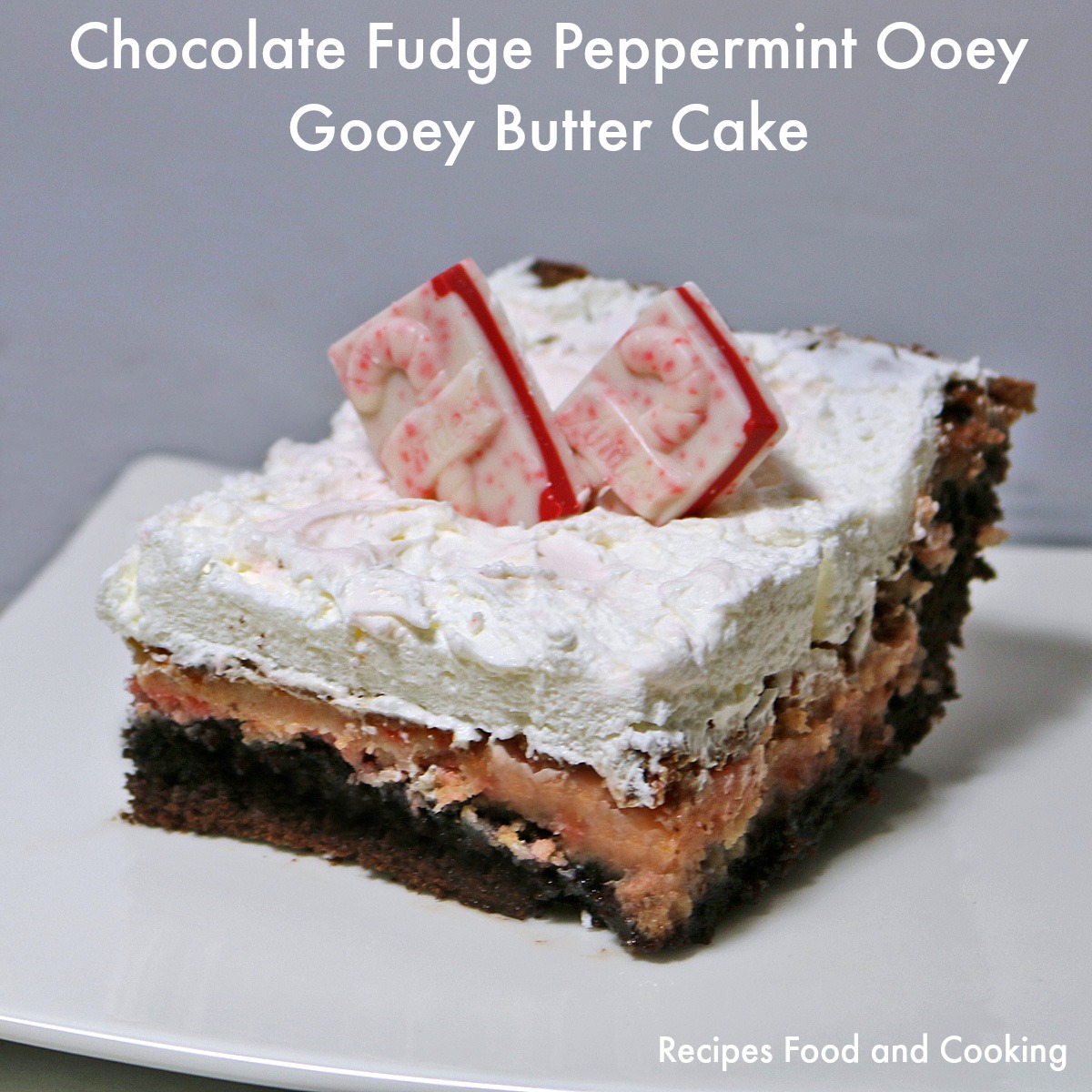 Chocolate Fudge Peppermint Ooey Gooey Butter Cake