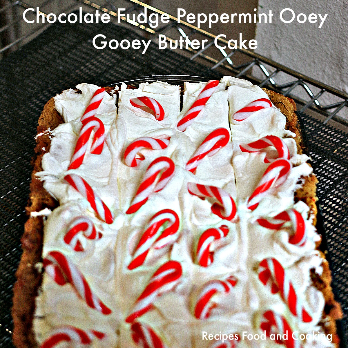 Chocolate Fudge Peppermint Ooey Gooey Butter Cake